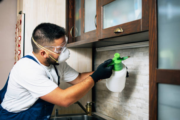Pest Control Cost in Belvidere, IL