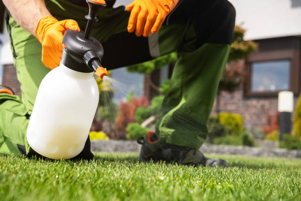 Best Best Pest Control Companies  in Belvidere, IL