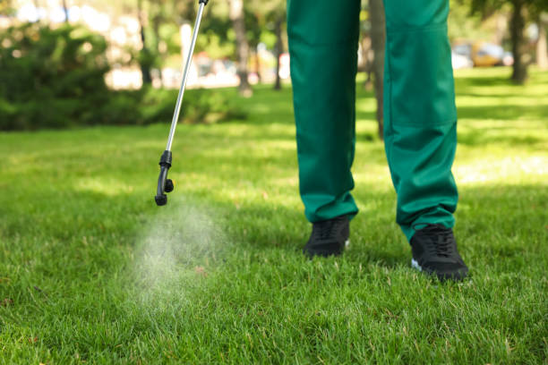 Best Affordable Pest Control Services  in Belvidere, IL