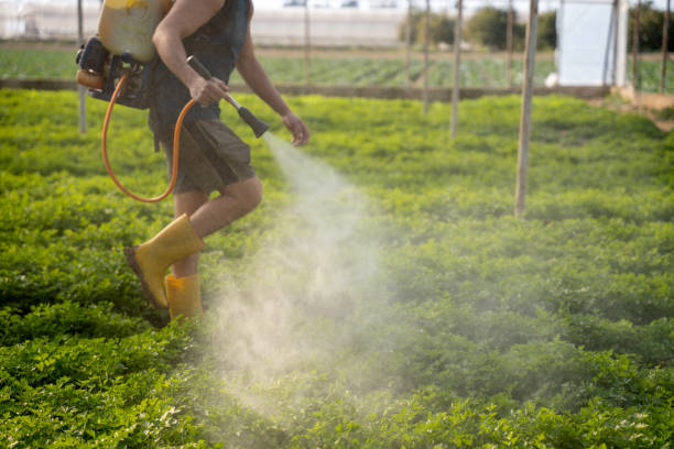 Best Commercial Pest Control Services  in Belvidere, IL