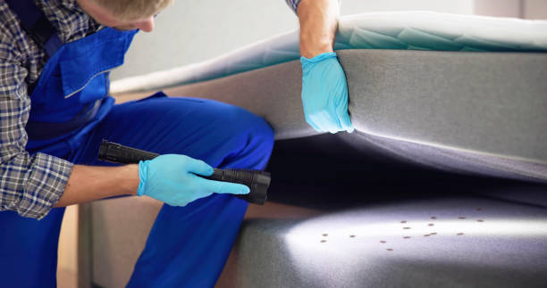 Best Mosquito Control Services  in Belvidere, IL