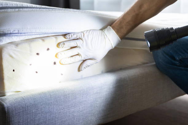 Best Commercial Pest Control Services  in Belvidere, IL