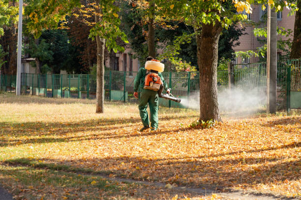 Best Bird Control  in Belvidere, IL