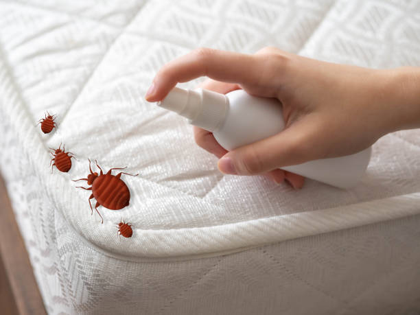 Best Commercial Pest Control Services  in Belvidere, IL