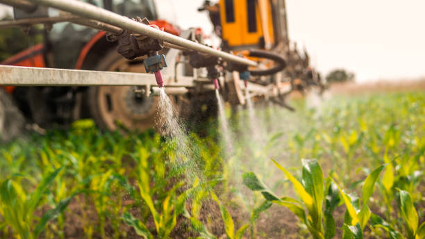 Best Pest Control Cost  in Belvidere, IL